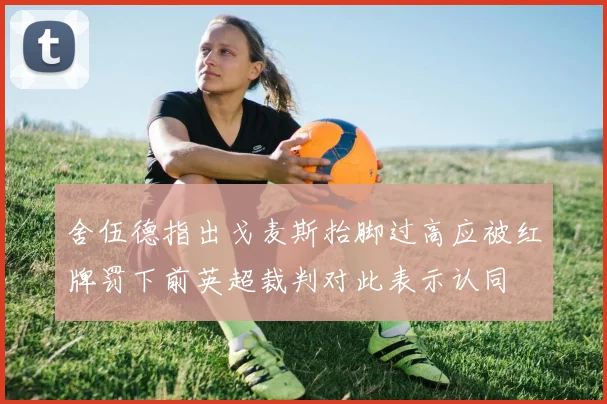 舍伍德指出戈麦斯抬脚过高应被红牌罚下前英超裁判对此表示认同