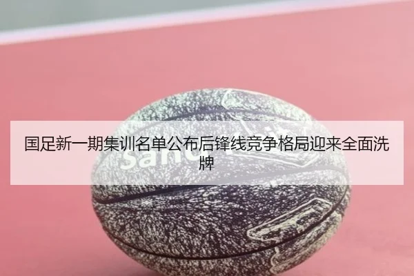 国足新一期集训名单公布后锋线竞争格局迎来全面洗牌 | Leyu