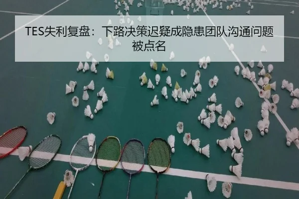 TES失利复盘：下路决策迟疑成隐患团队沟通问题被点名 - Leyu